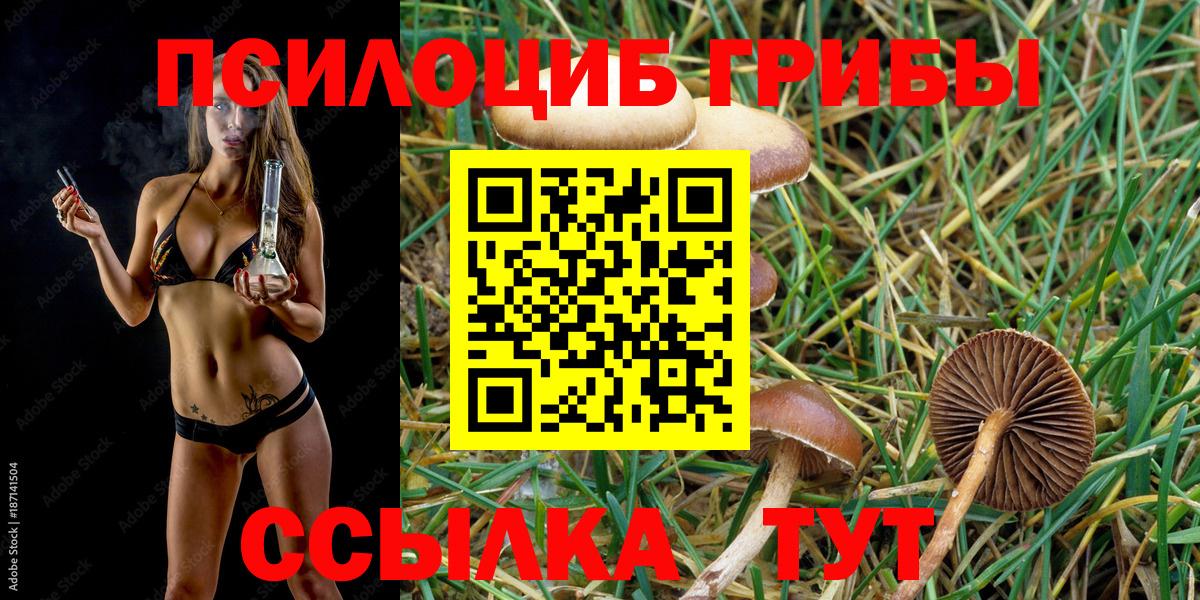 Псилоцибиновые грибы GOLDEN TEACHER  Вход с VPN  Вольск 